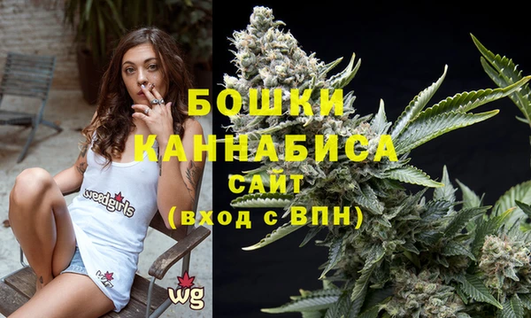 индика Беломорск